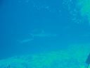 DSC00965.JPG