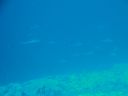 DSC00966.JPG