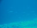 DSC00967.JPG