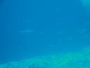 DSC00969.JPG