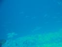 DSC00971.JPG