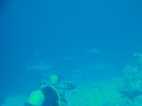 DSC00973.JPG