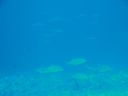 DSC00974.JPG