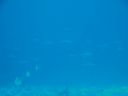 DSC00979.JPG