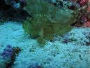 DSC00984.JPG