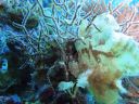 DSC00990.JPG