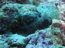 DSC00996.JPG
