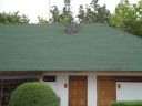 DSC01011.JPG