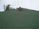 DSC01013.JPG