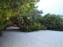 DSC01019.JPG