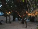 DSC01020.JPG