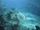 DSC01046.JPG