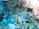 DSC01047.JPG
