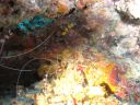 DSC01049.JPG