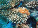 DSC01050.JPG