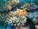 DSC01051.JPG