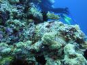 DSC01057.JPG