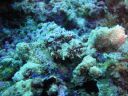 DSC01058.JPG