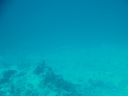 DSC01064.JPG