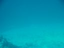 DSC01065.JPG