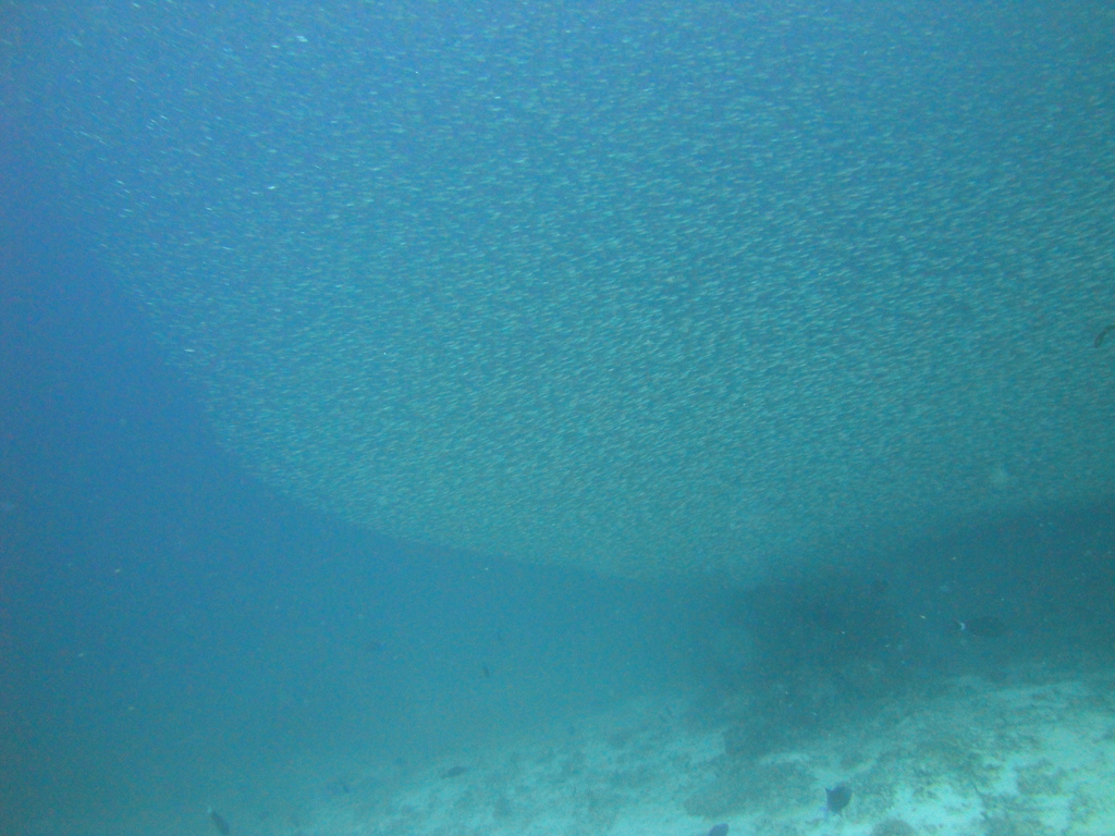DSC00043.JPG