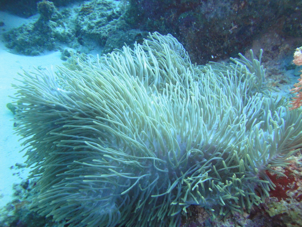 DSC00095.JPG