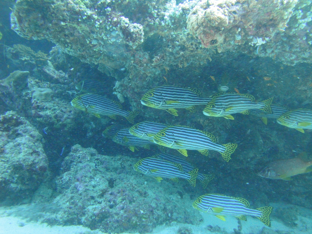 DSC00137.JPG
