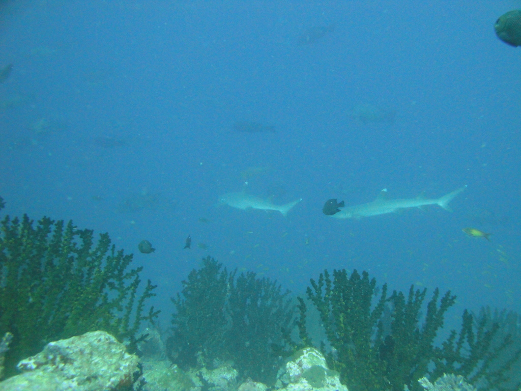 DSC00180.JPG