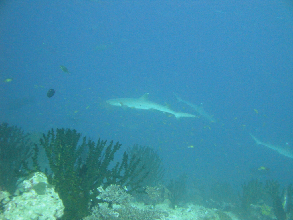 DSC00182.JPG
