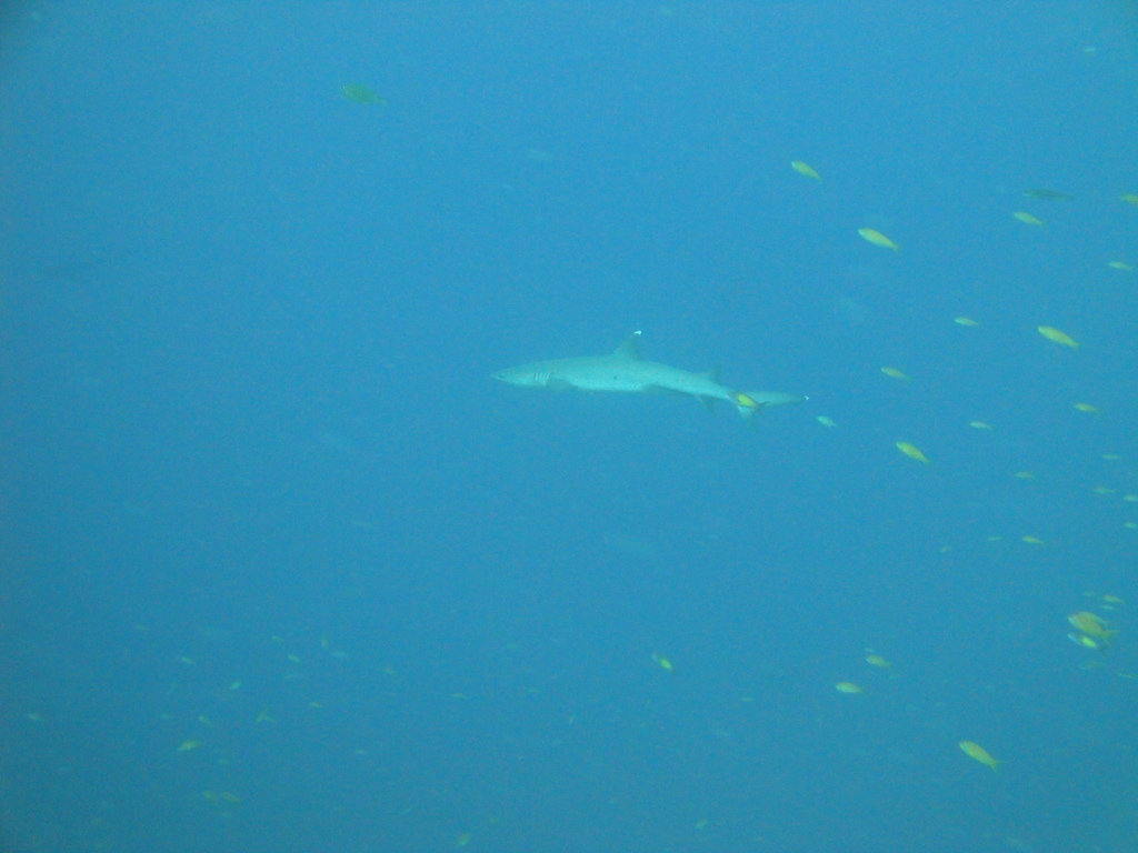 DSC00187.JPG