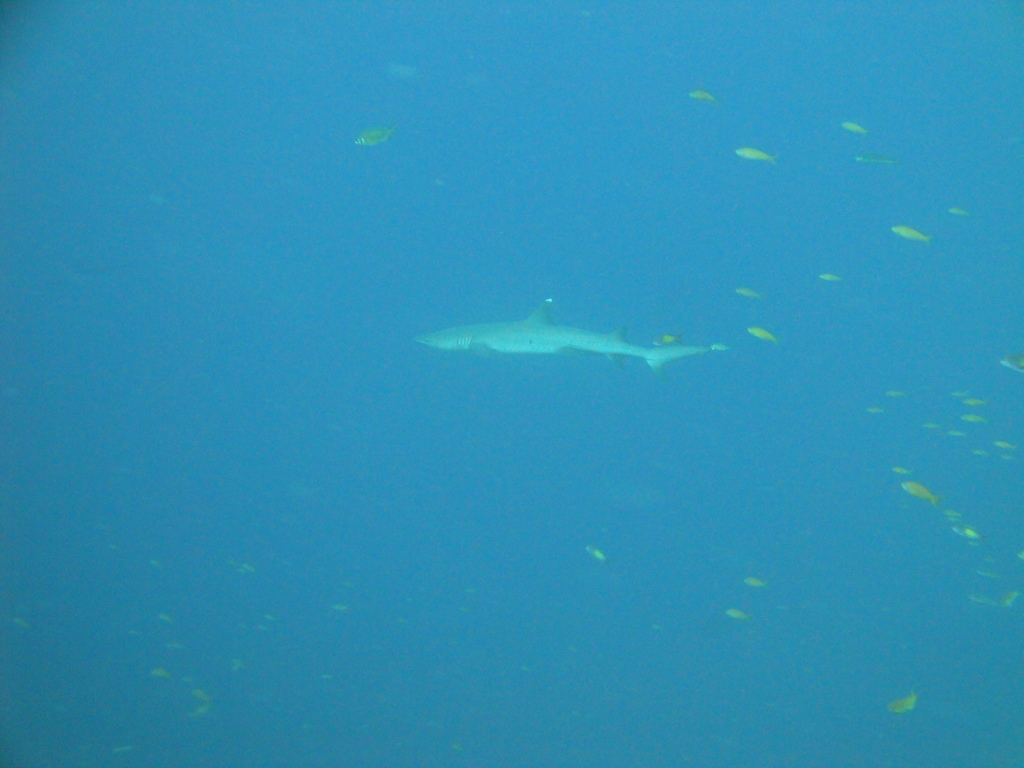 DSC00188.JPG