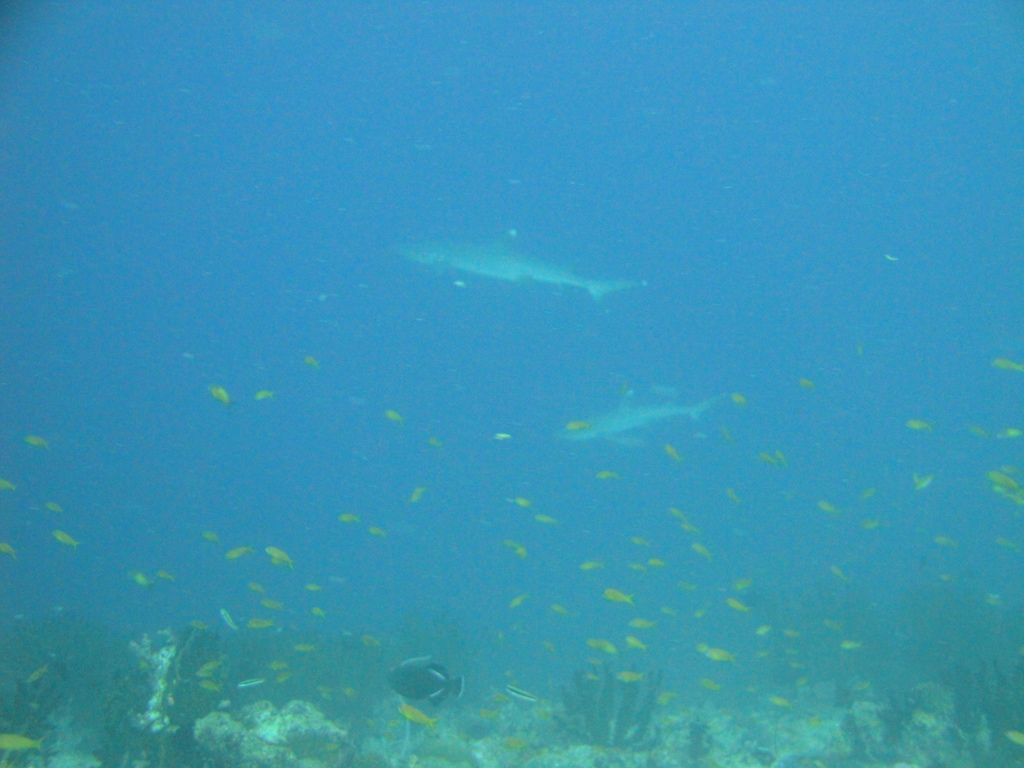 DSC00201.JPG