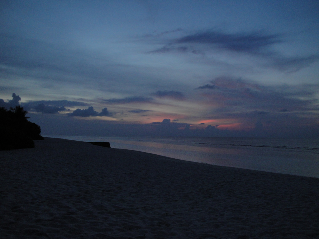 DSC00244.JPG