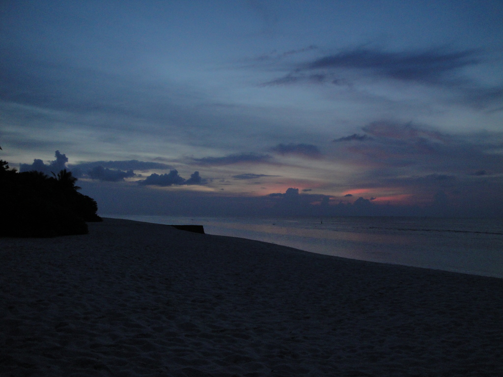 DSC00245.JPG