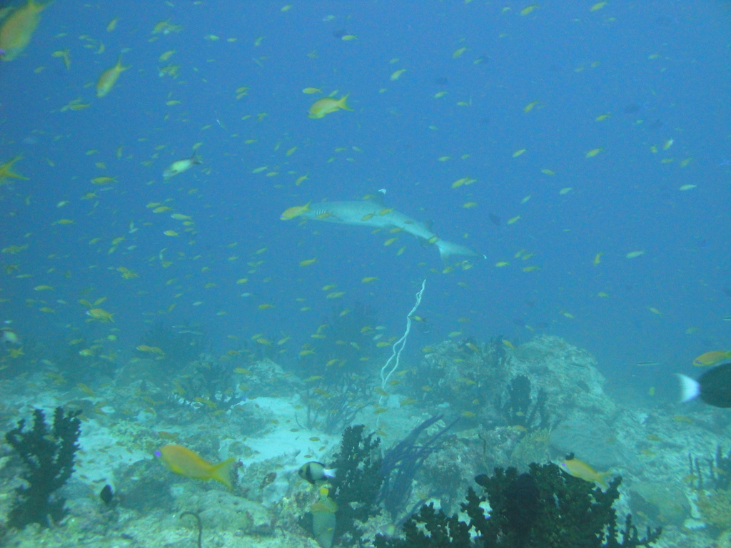 DSC00248.JPG