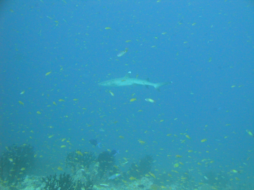 DSC00249.JPG