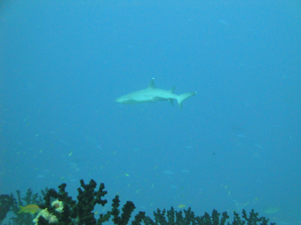 DSC00255.JPG