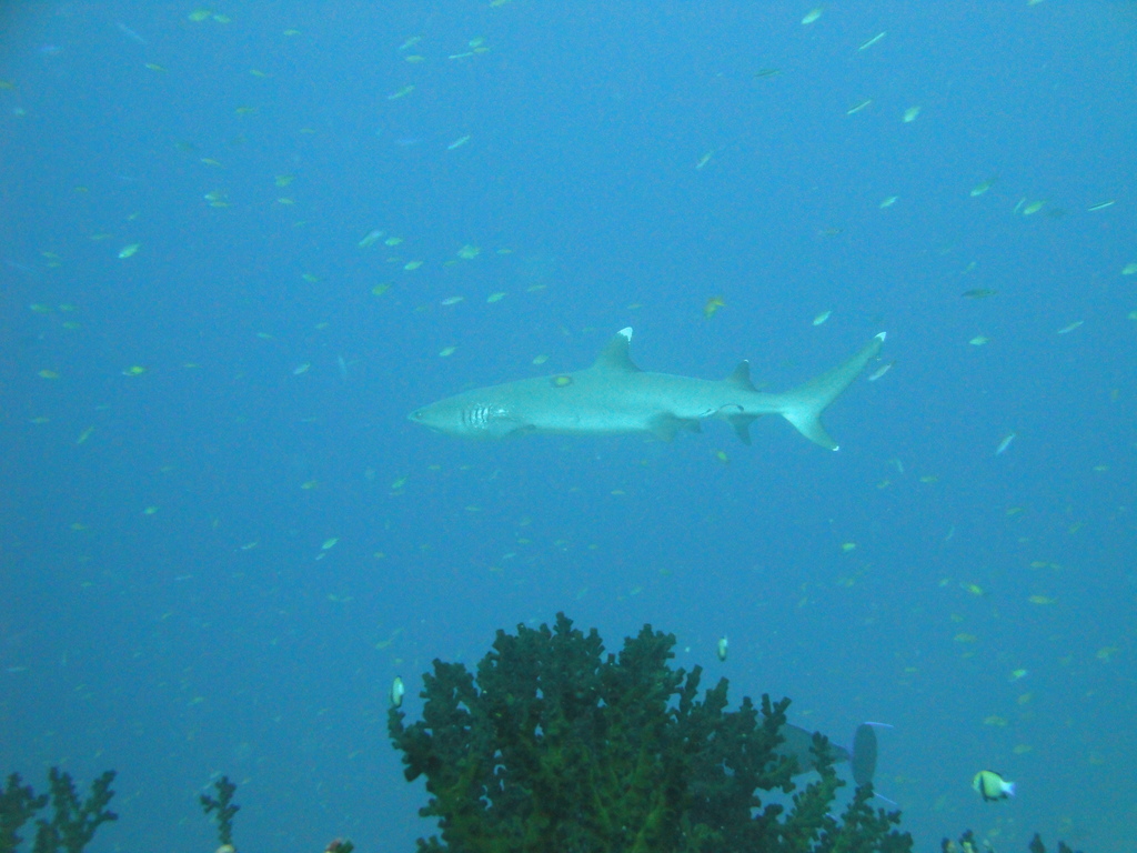 DSC00274.JPG