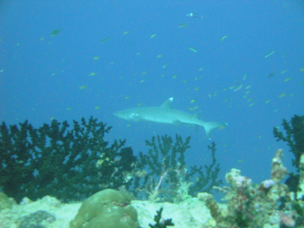 DSC00282.JPG