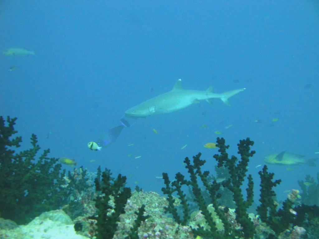 DSC00283.JPG