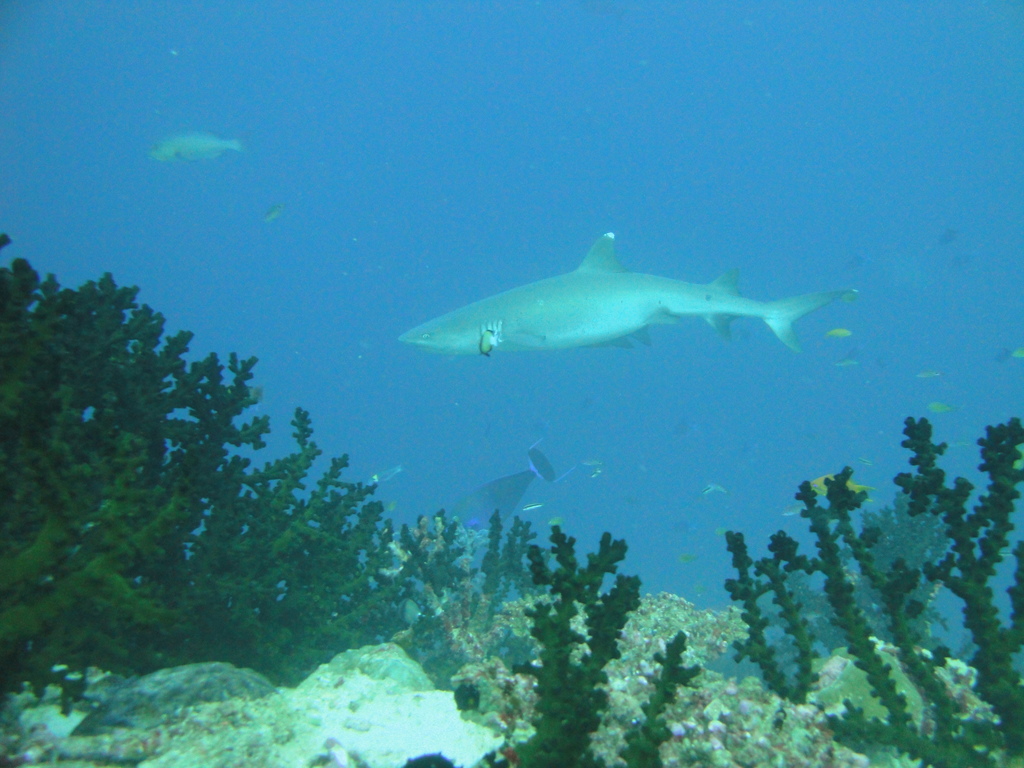 DSC00285.JPG