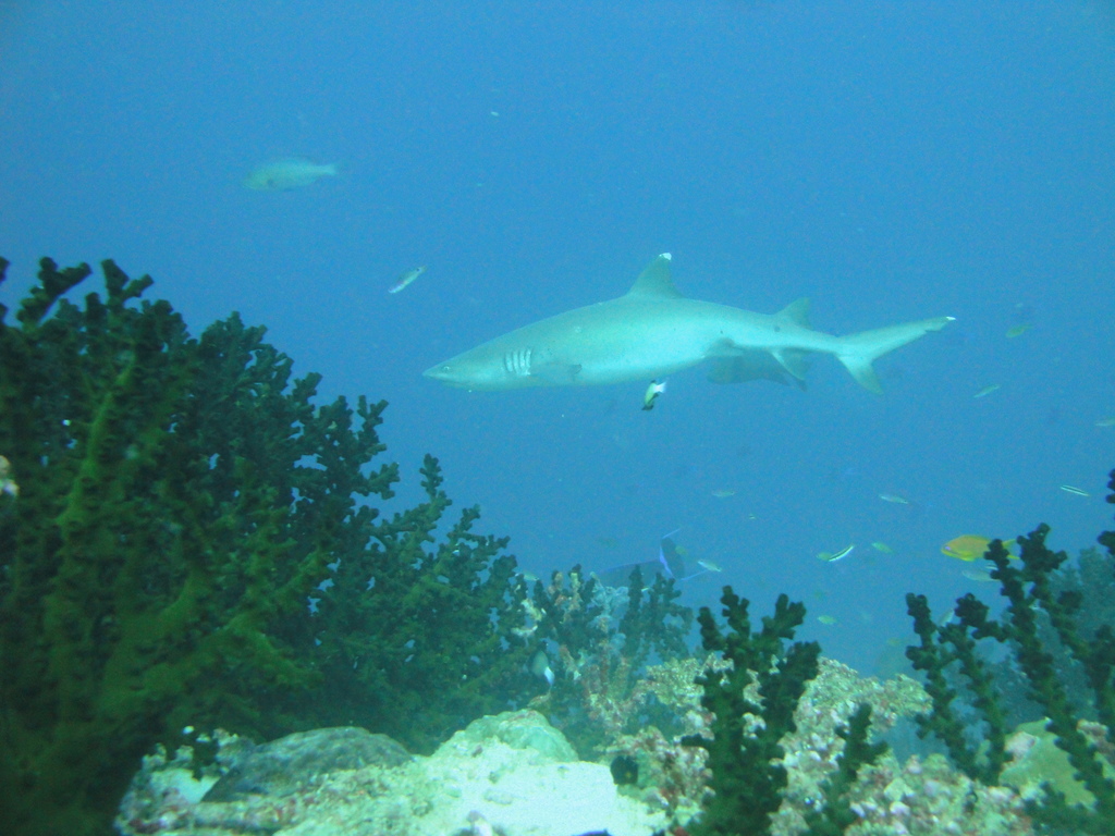 DSC00286.JPG
