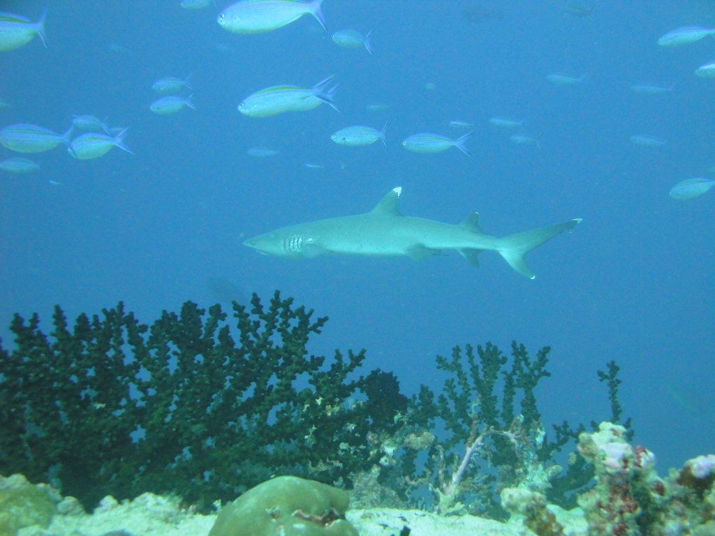 DSC00288.JPG