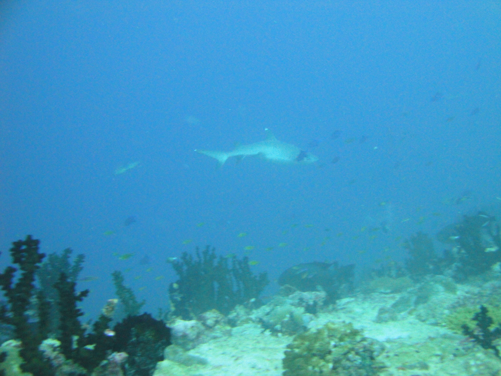 DSC00293.JPG