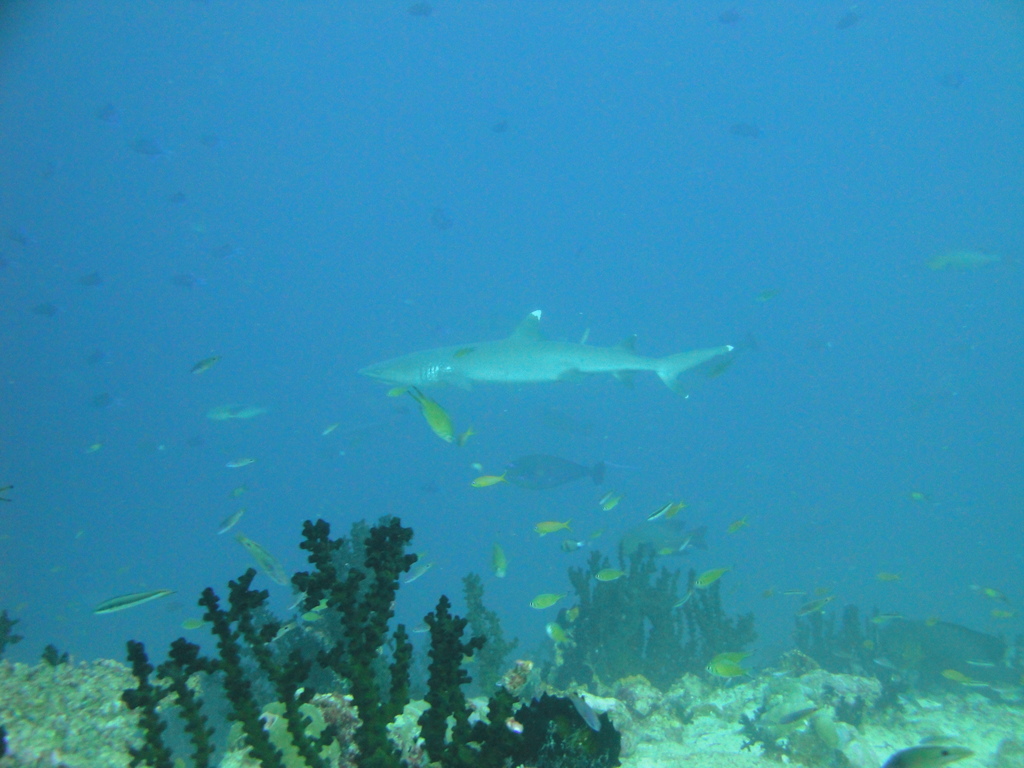 DSC00302.JPG