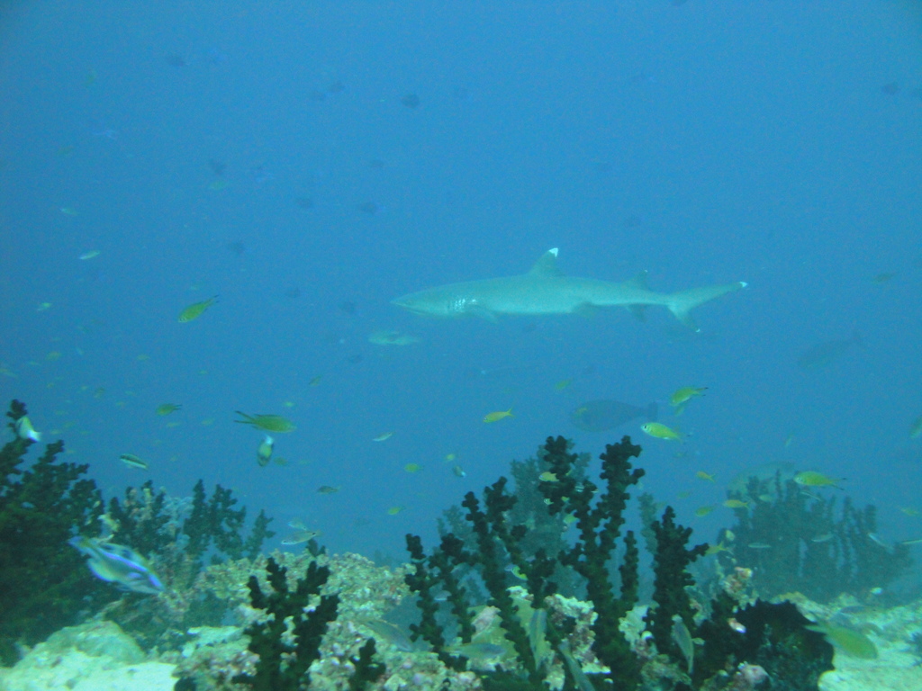 DSC00304.JPG