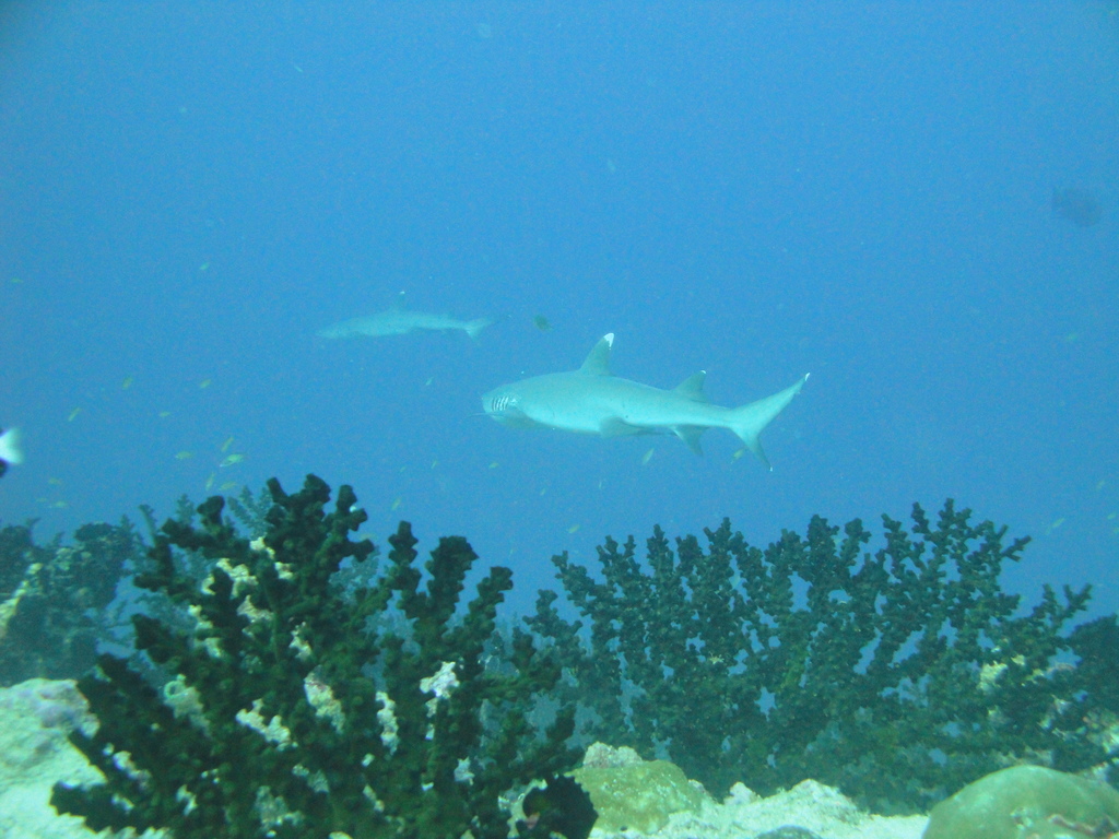 DSC00314.JPG