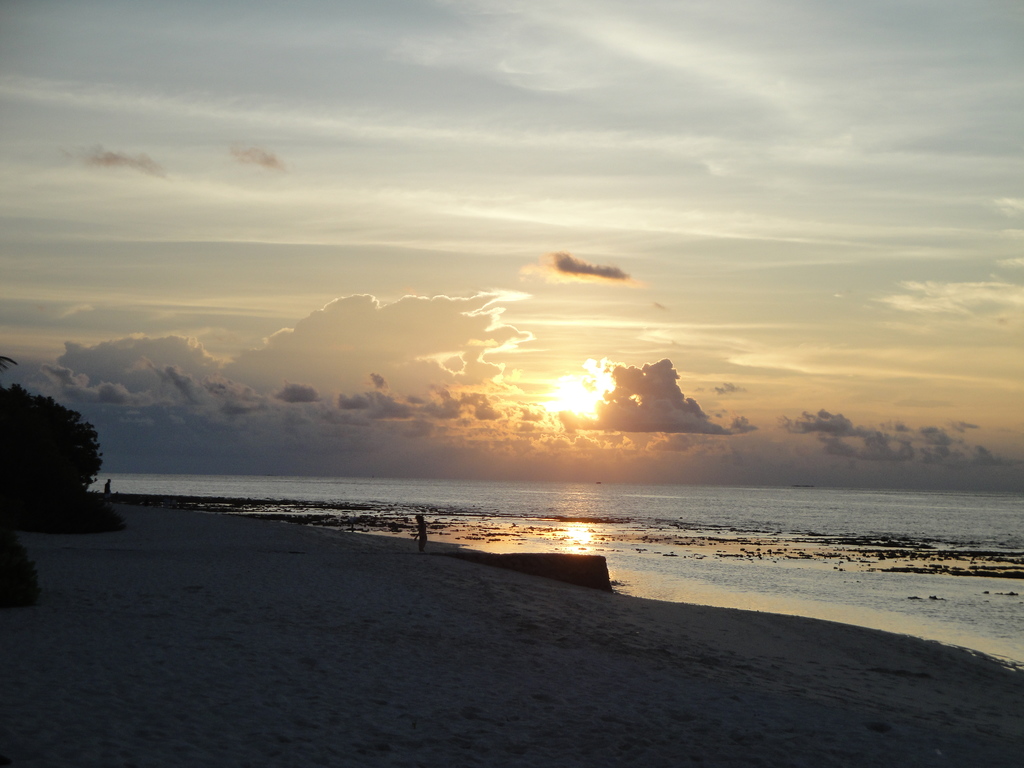 DSC00378.JPG