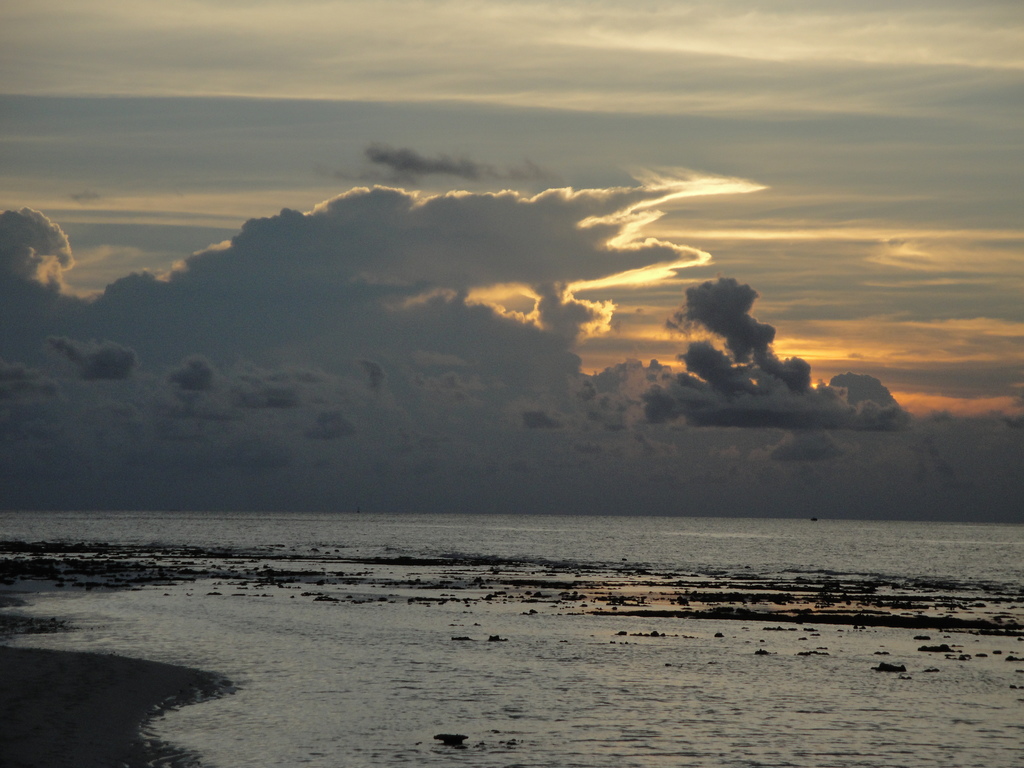 DSC00380.JPG