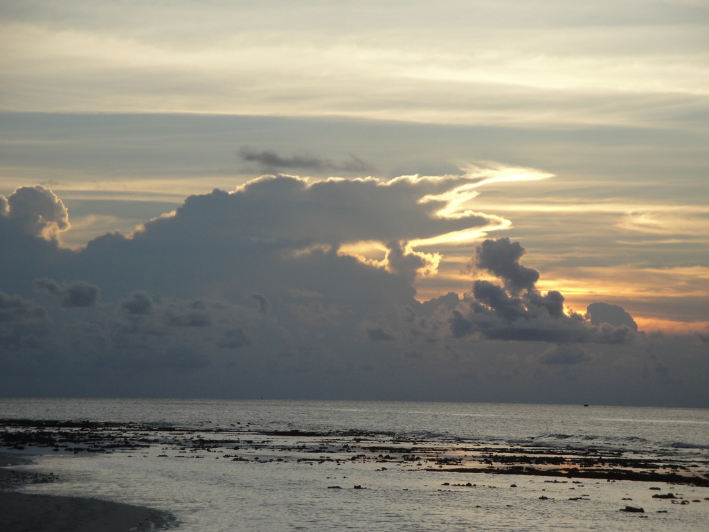 DSC00381.JPG